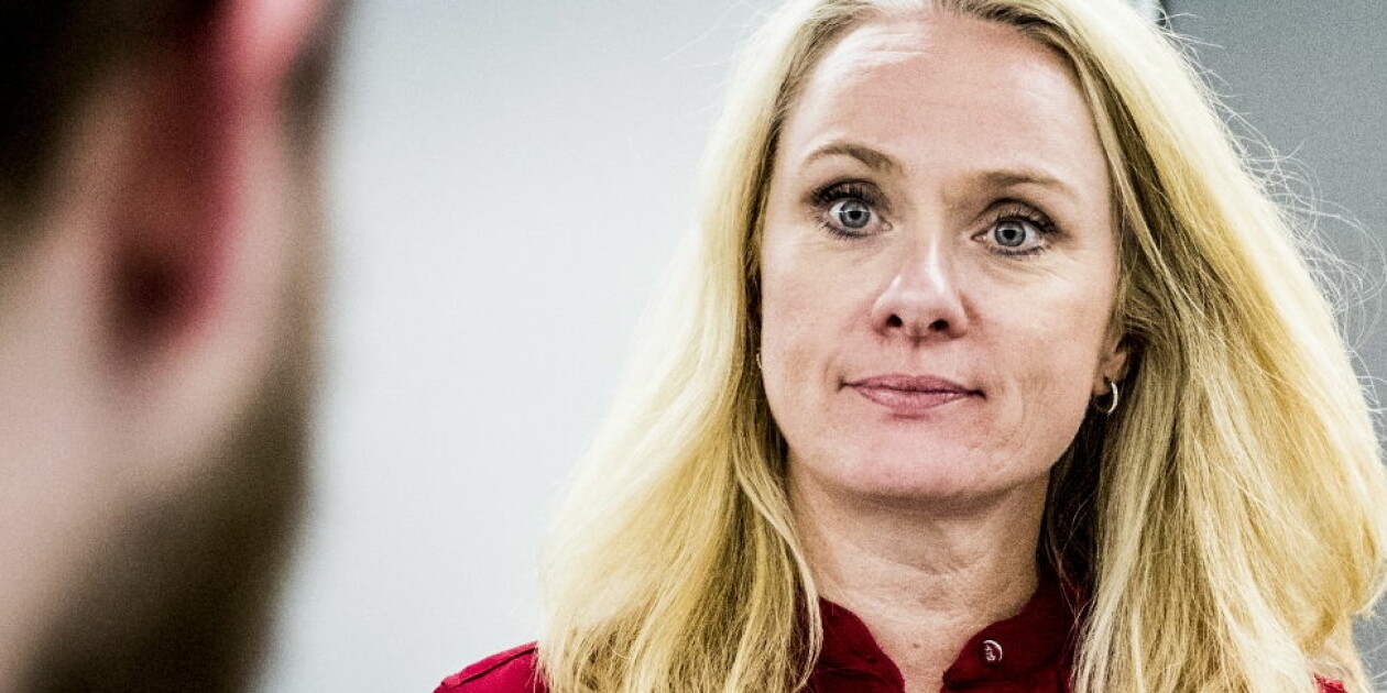 Kjære statsråd Hauglie